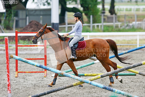 Image of Horse training