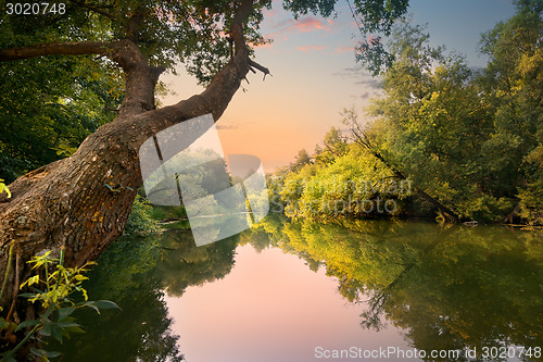 Image of Evening on the river