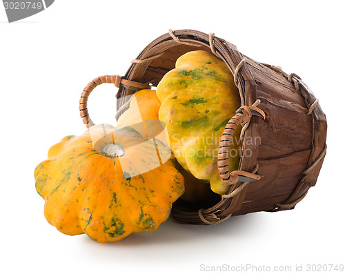 Image of Gourds in a basket