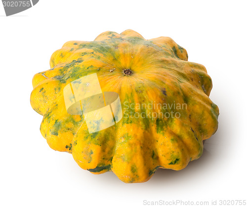 Image of Gourd