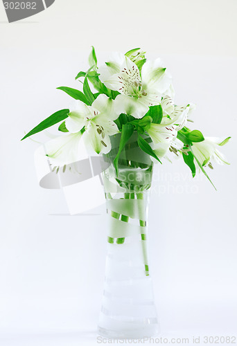 Image of Summer flowers