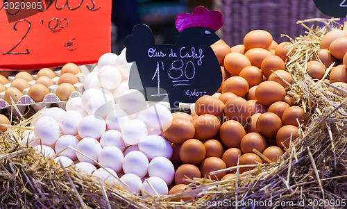 Image of Eggs seller