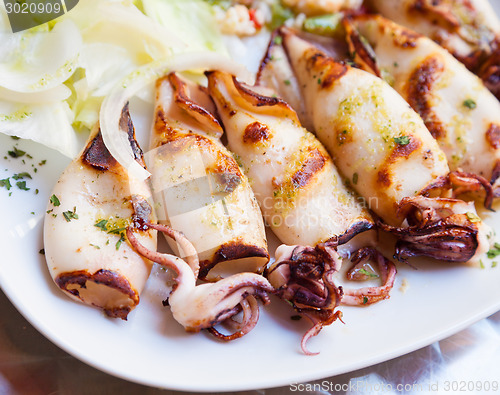 Image of Italian Calamari