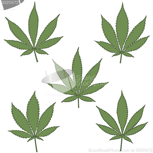 Image of Set of natural marijuana leaves.