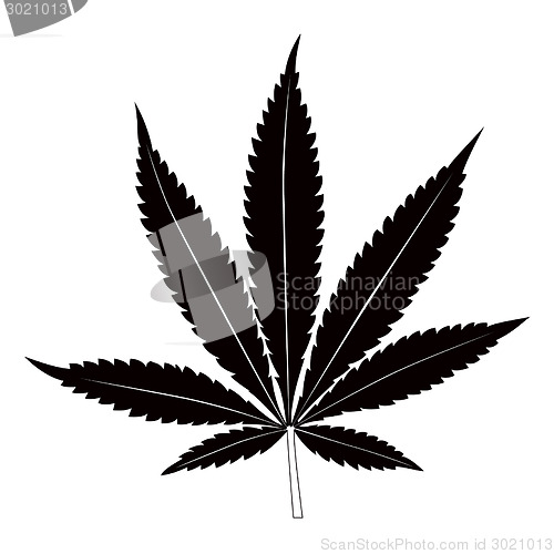 Image of Black marijuana leaf on white background