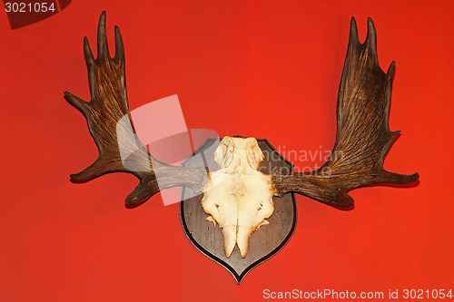 Image of Antlers