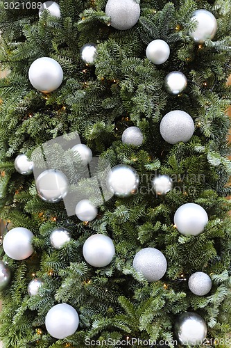 Image of Christmas decoration