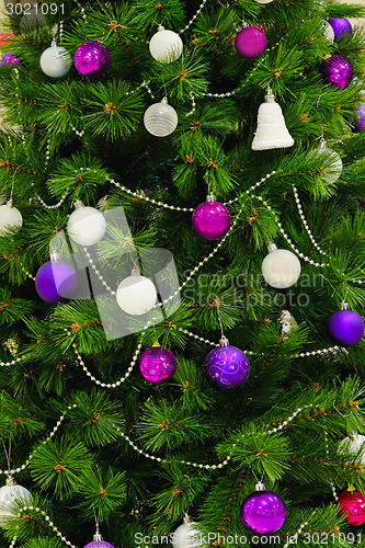 Image of Christmas tree