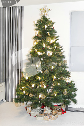 Image of Christmas tree