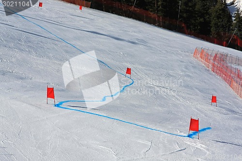 Image of Giant slalom
