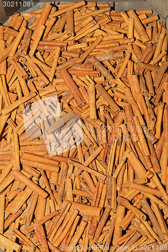 Image of Cinnamon sticks