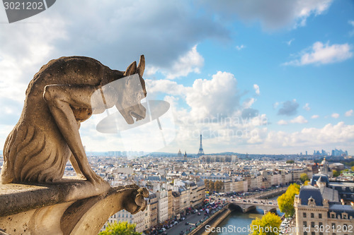 Image of Paris aerial view with Chimera