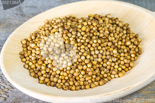 Image of Coriander