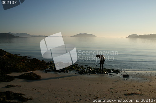 Image of Strolling on the beach