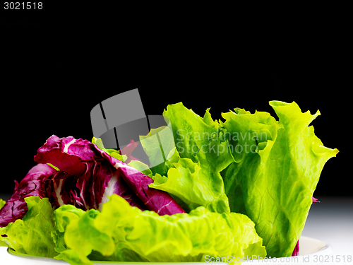Image of fresh green salad