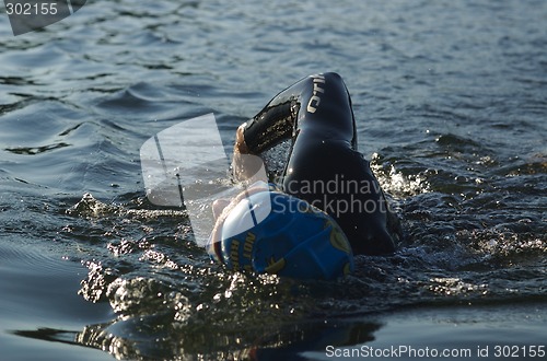 Image of Triathlete swimming outdoors