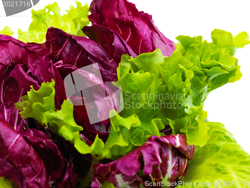 Image of fresh green salad