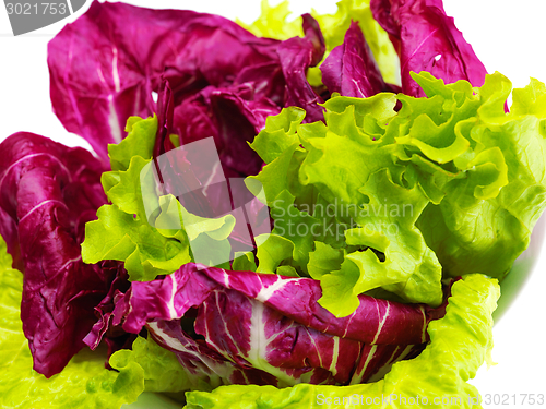 Image of fresh green salad