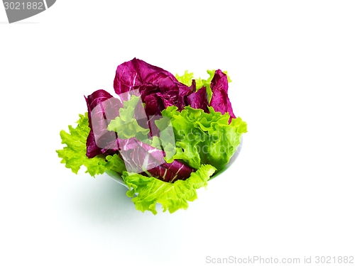 Image of fresh green salad