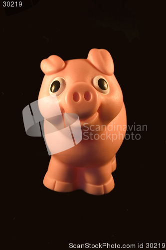 Image of Piggy