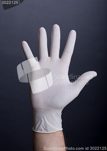 Image of Male palm in latex glove