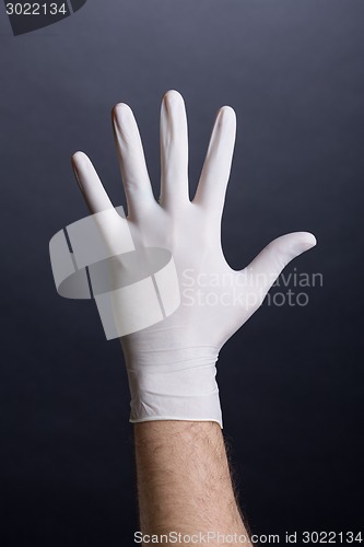 Image of Male palm in latex glove