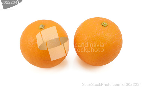 Image of Two whole ripe oranges