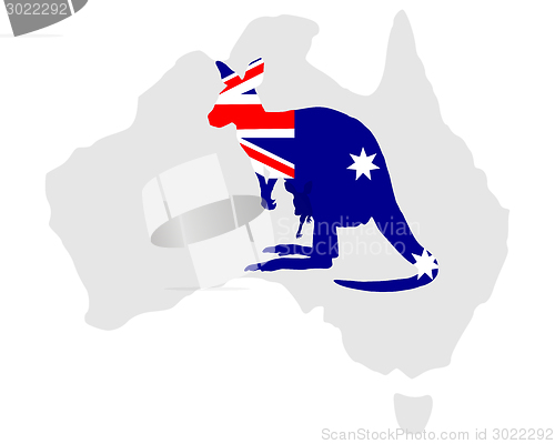 Image of Australian kangaroo