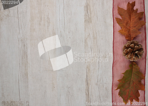 Image of Autumn background