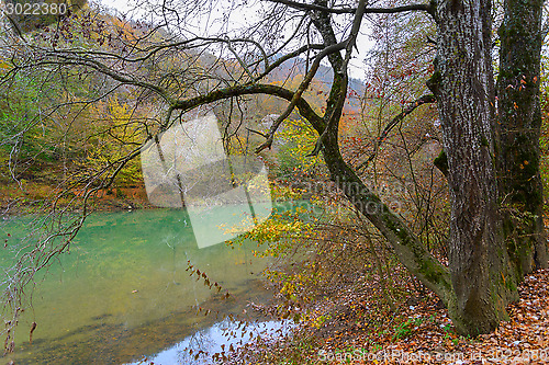 Image of The river in the mountains