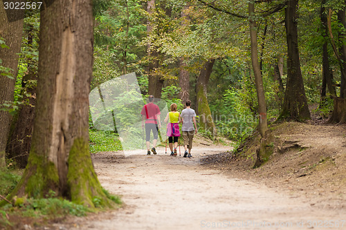 Image of Family walking in the woods