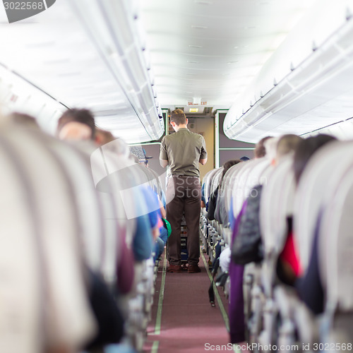 Image of Steward on the airplane.