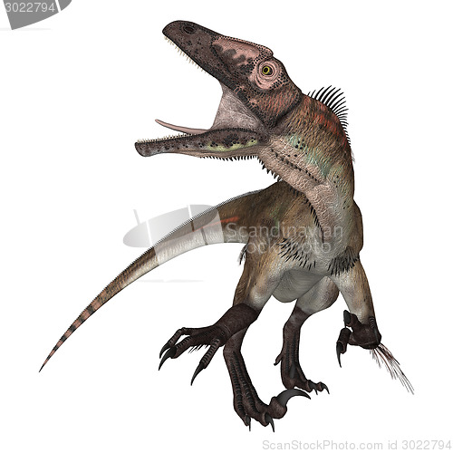 Image of Dinosaur Utahraptor