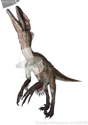 Image of Dinosaur Utahraptor