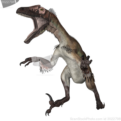 Image of Dinosaur Utahraptor