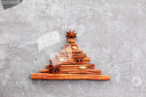 Image of cinnamon tree