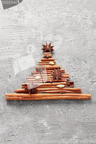 Image of cinnamon tree