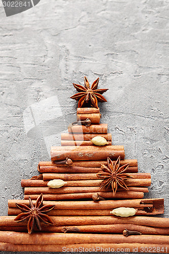Image of cinnamon tree