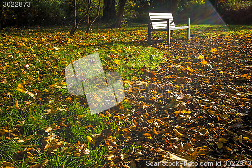 Image of park bench in autumn