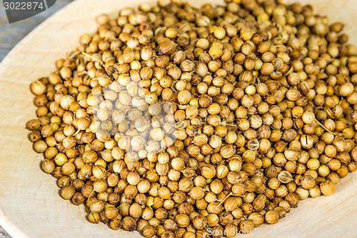 Image of Coriander