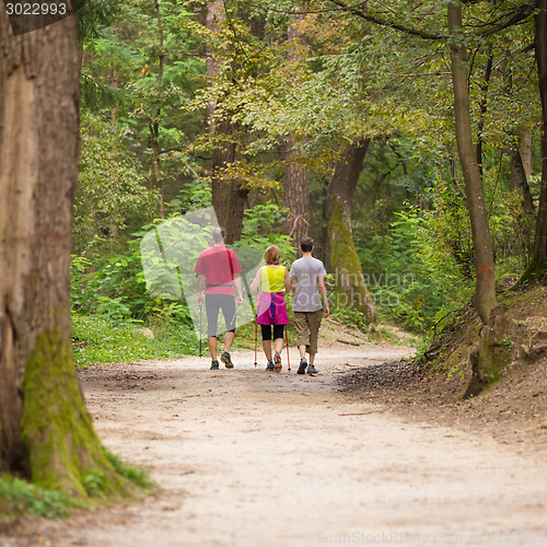 Image of Family walking in the woods