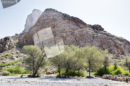 Image of Landscape Oman