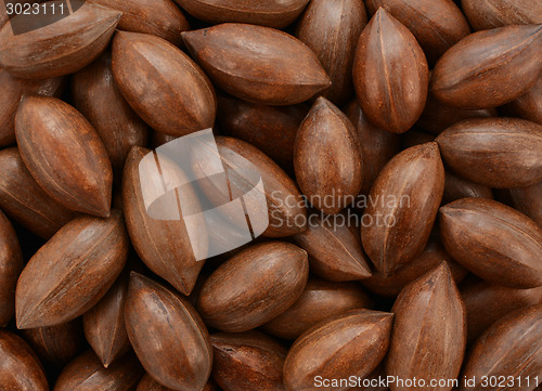 Image of Pecan nuts background