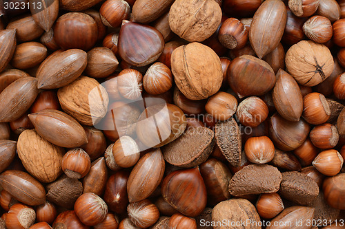 Image of Mixed nuts - chestnuts, pecans, walnuts, brazils and hazelnuts