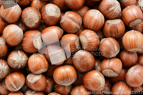 Image of Hazelnuts background 