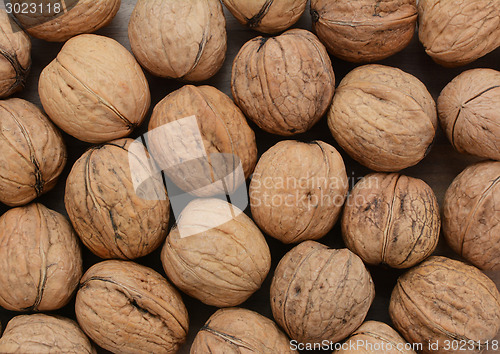 Image of Walnuts in shells