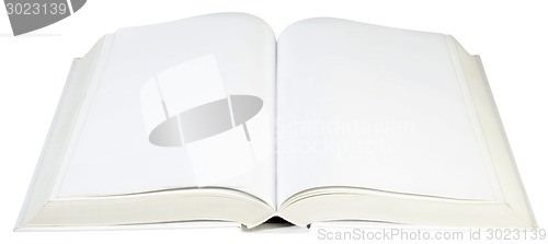 Image of Middle of the Book Cutout