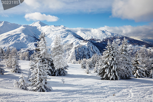 Image of Winter Landscape