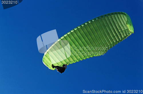 Image of Glider