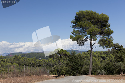 Image of landscape south of france